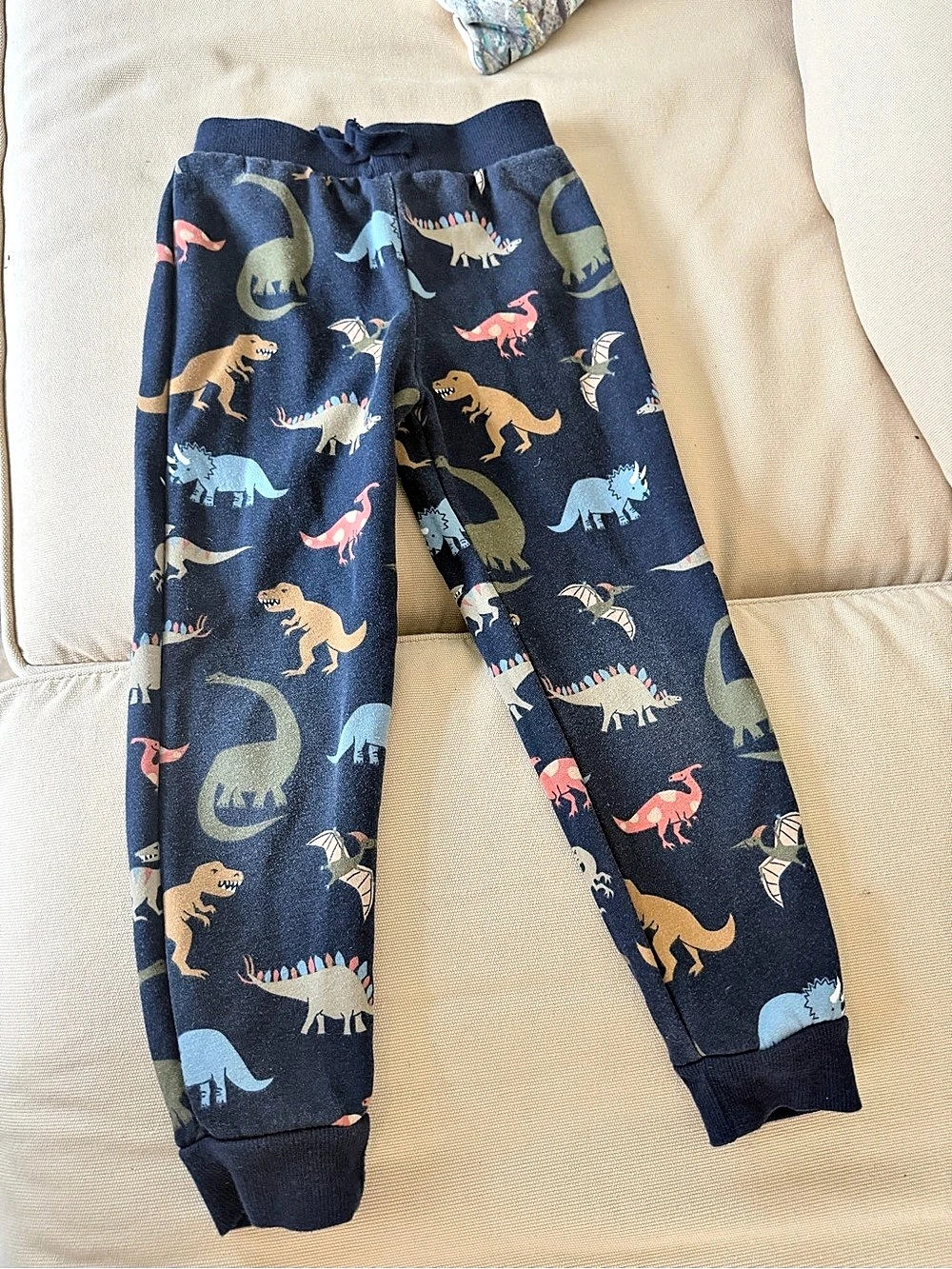 Hanna Andersson Dinosaur Print Jogger Pants Size 3T